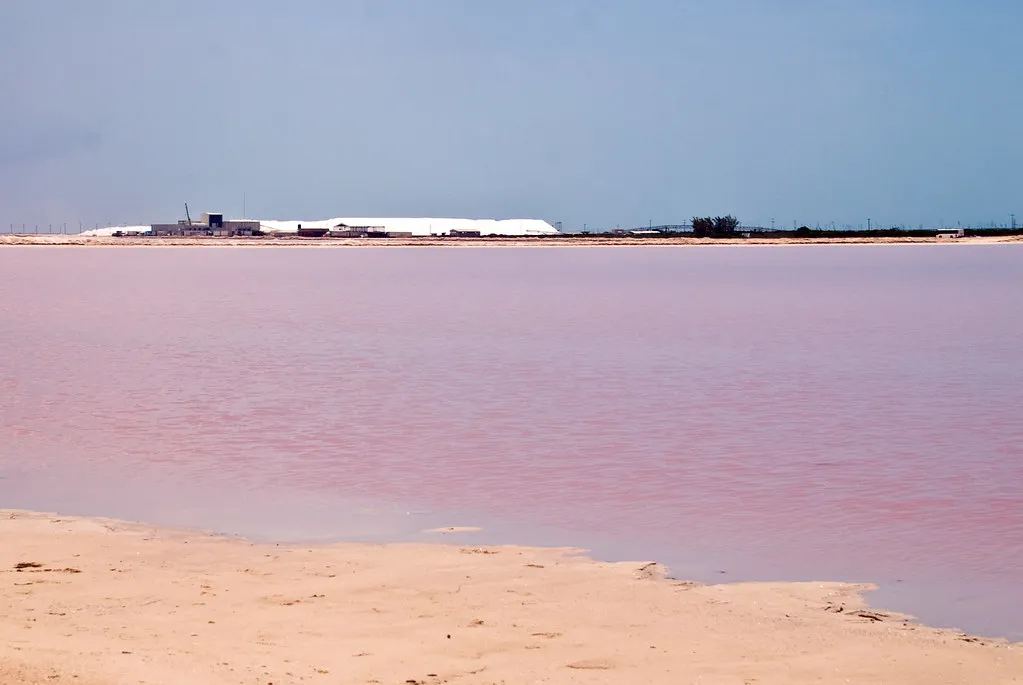A shallow evaporation pond with white salt heaps stacked on the far bank